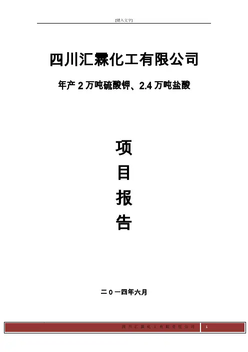 硫酸钾项目报告详解