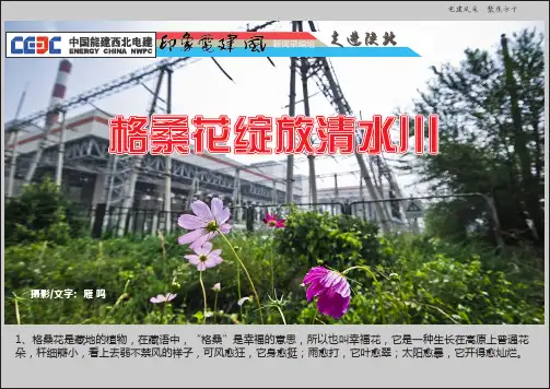 1、格桑花是藏地的植物,在藏语中,格桑是幸福的意思