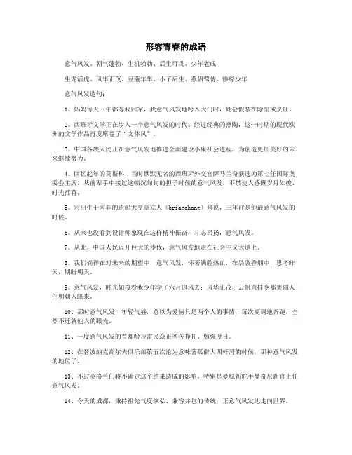 形容青春的成语