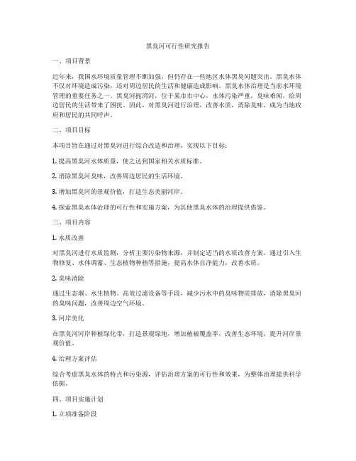 黑臭河可行性研究报告