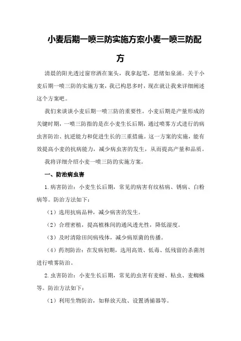 小麦后期一喷三防实施方案小麦一喷三防配方