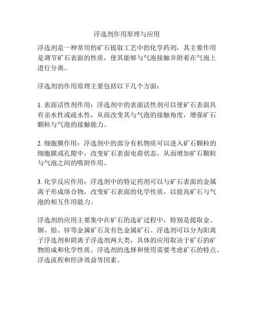 浮选剂作用原理与应用