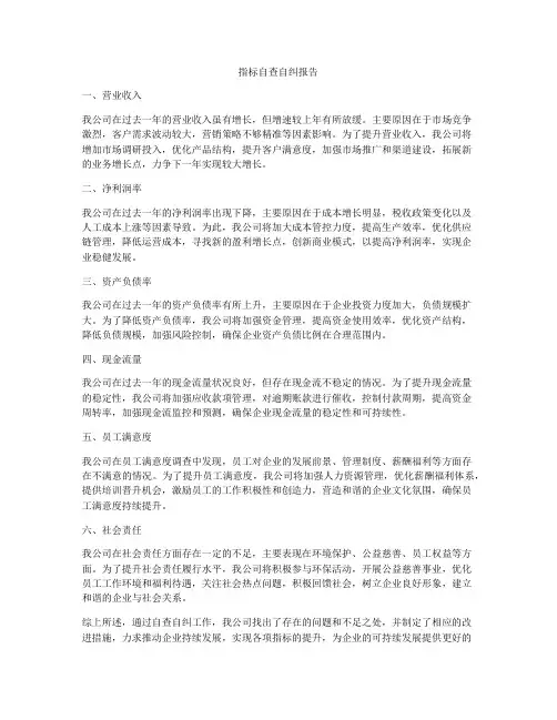 指标自查自纠报告