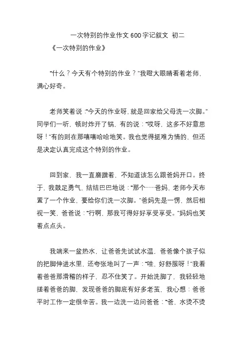 一次特别的作业作文600字记叙文 初二
