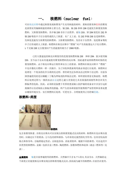 核燃料