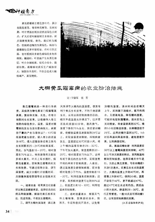 大棚黄瓜霜霉病的农业防治措施