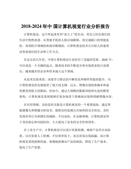 2018-2024年中 国计算机视觉行业分析报告