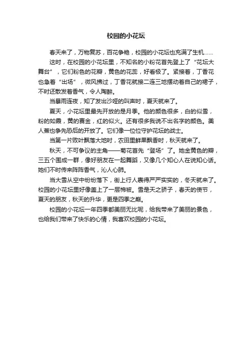 校园的小花坛