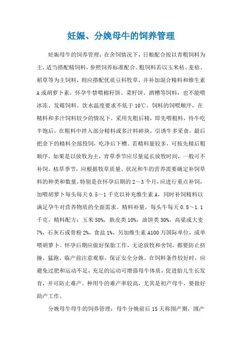 妊娠、分娩母牛的饲养管理