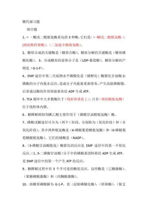糖代谢习题