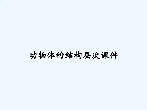 动物体的结构层次课件-PPT