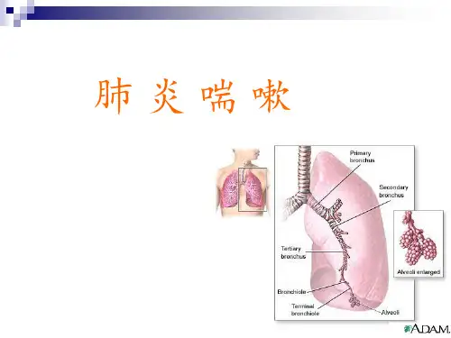 第四节肺炎喘嗽PPT课件