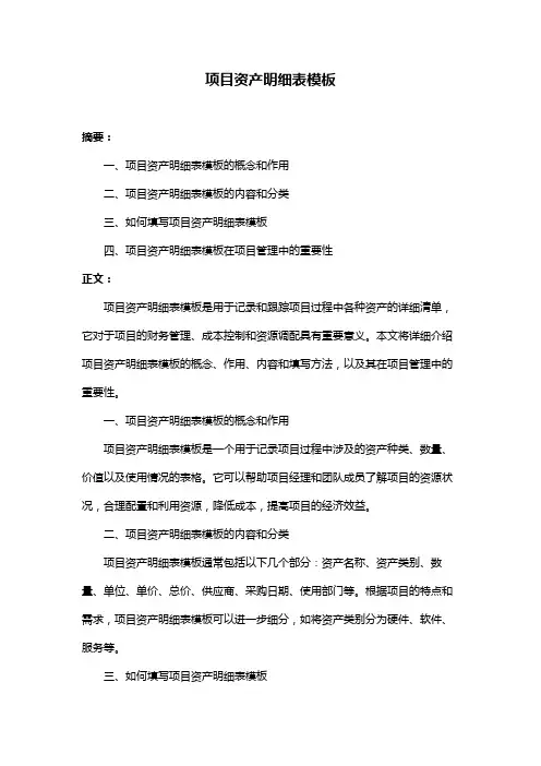 项目资产明细表模板