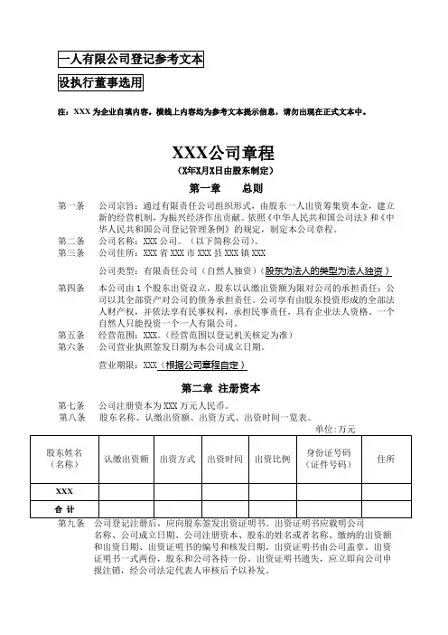 一人有限公司(不设董事会、监事会)