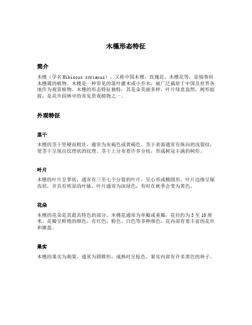 木槿形态特征
