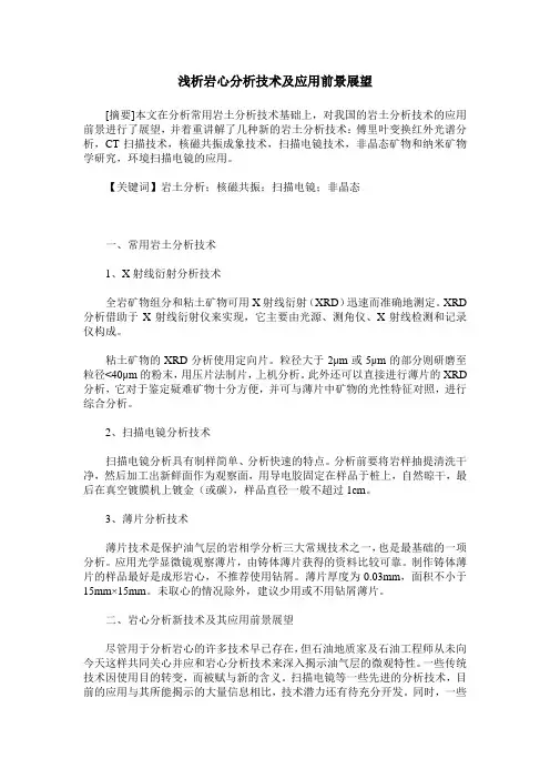 浅析岩心分析技术及应用前景展望