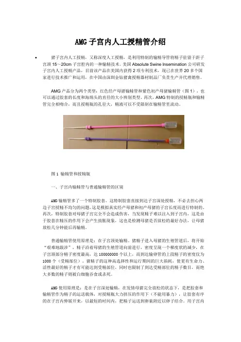 母猪深度人工授精(子宫内输精)技术