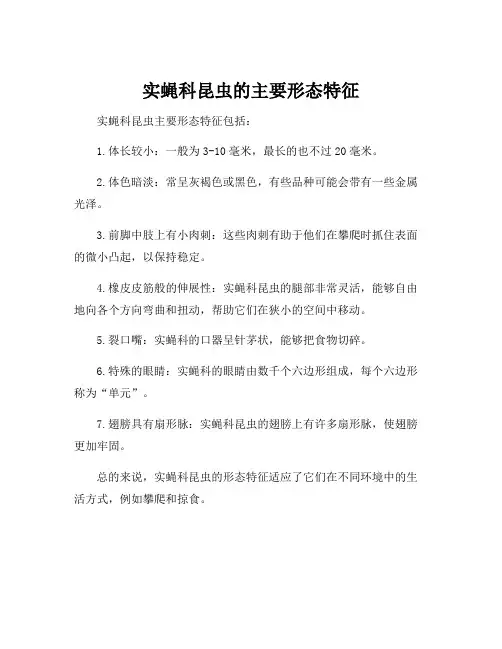 实蝇科昆虫的主要形态特征