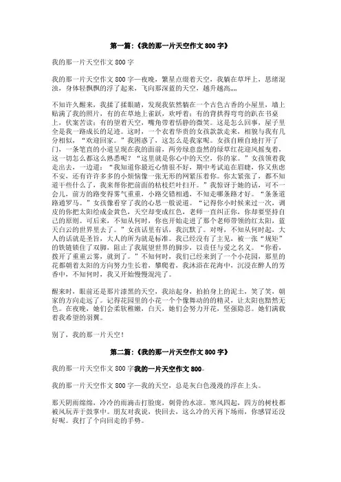 我的一片天空作文800