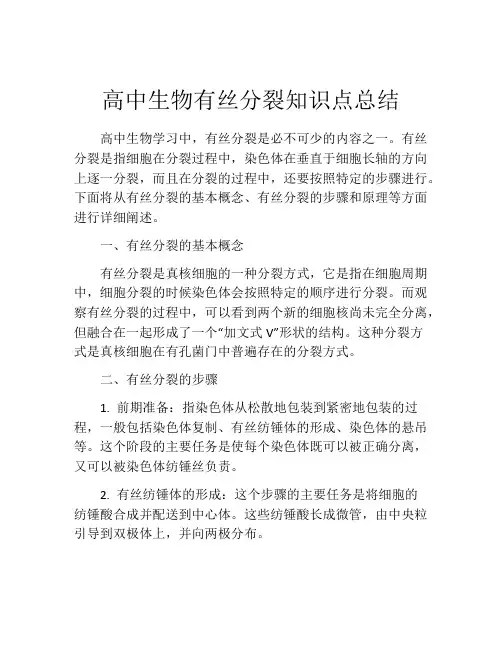 高中生物有丝分裂知识点总结