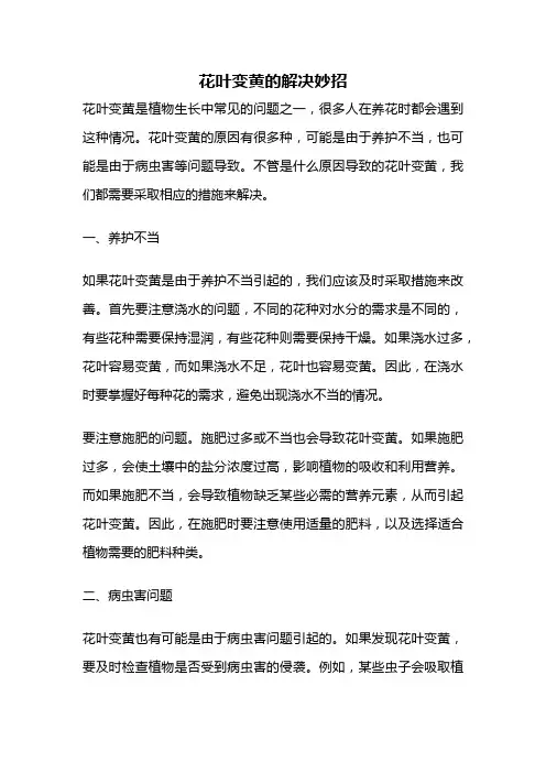 花叶变黄的解决妙招