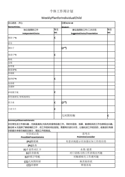 5范例个体工作周计划表