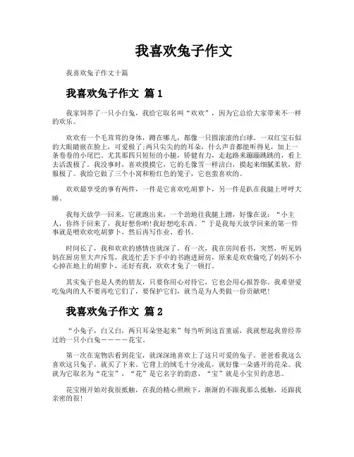 我喜欢兔子作文