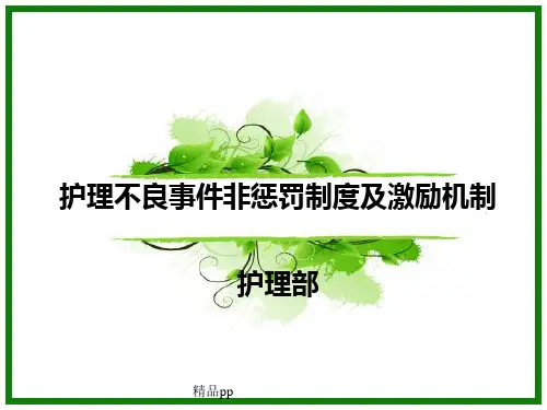 不良事件报告PPT课件