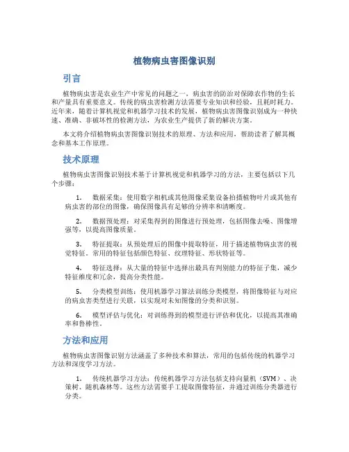 植物病虫害图像识别