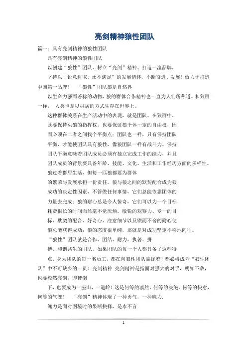 亮剑精神狼性团队