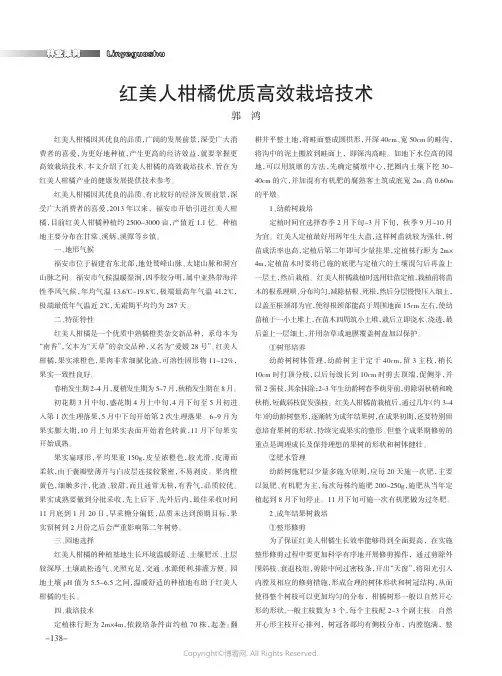 红美人柑橘优质高效栽培技术