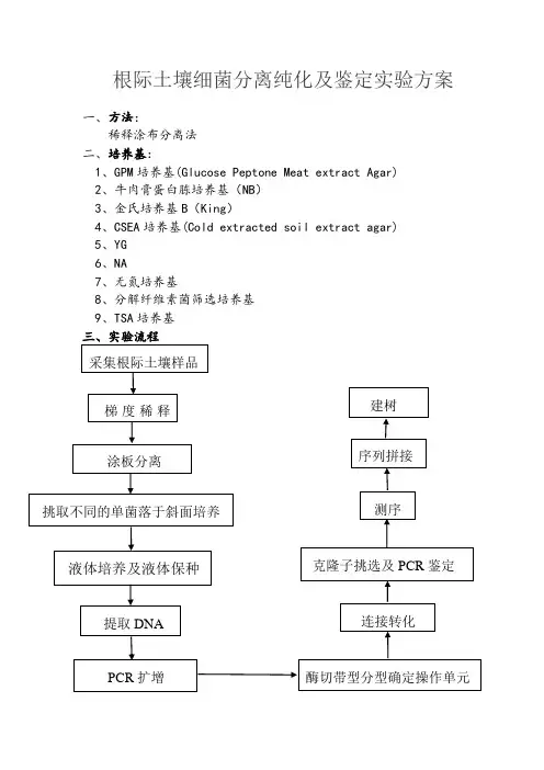 根际细菌分离纯化及鉴定实验方案
