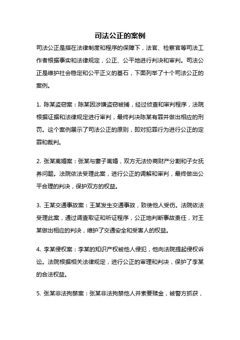 司法公正的案例