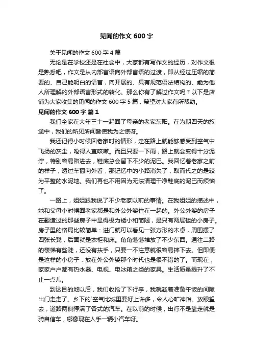 见闻的作文600字