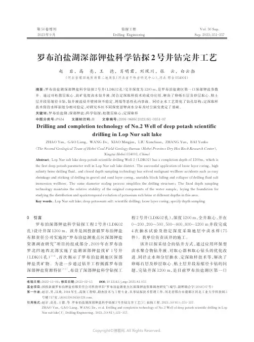 罗布泊盐湖深部钾盐科学钻探2_号井钻完井工艺
