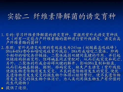 生物工艺学紫外线诱变纤维素降解菌