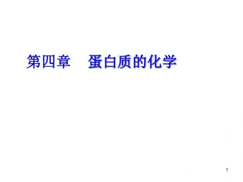 4.蛋白质的化学