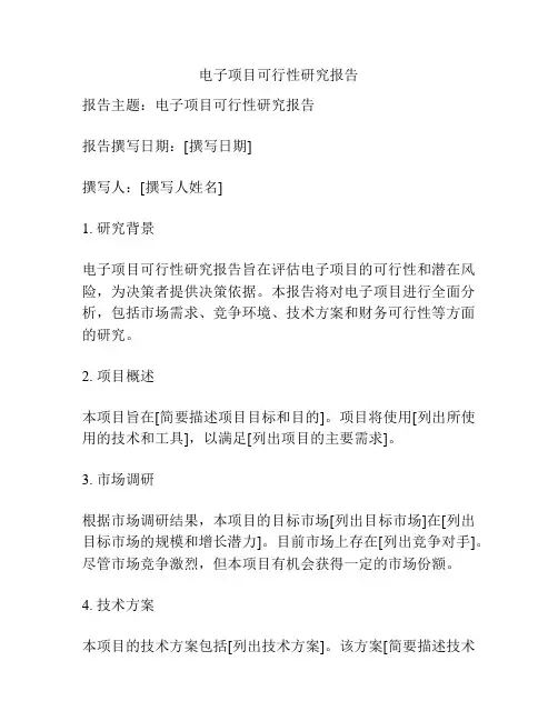 电子项目可行性研究报告
