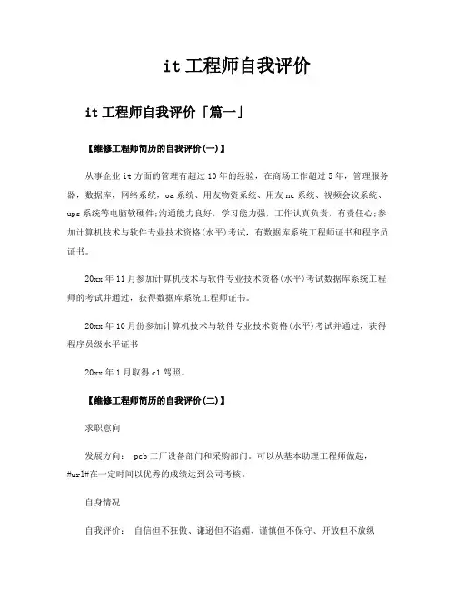 it工程师自我评价