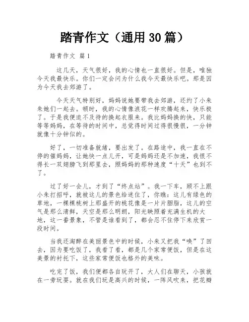 踏青作文(通用30篇)