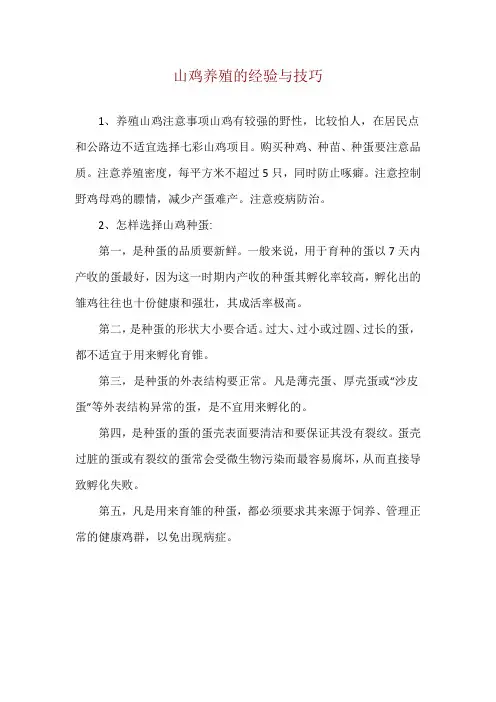 山鸡养殖的经验与技巧