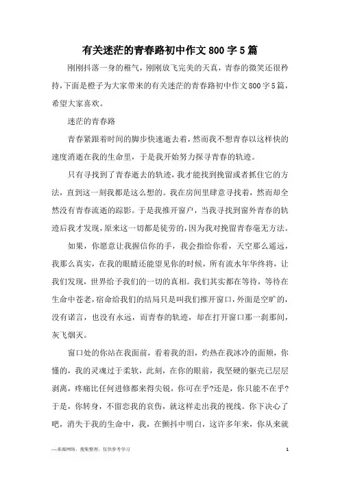有关迷茫的青春路初中作文800字5篇