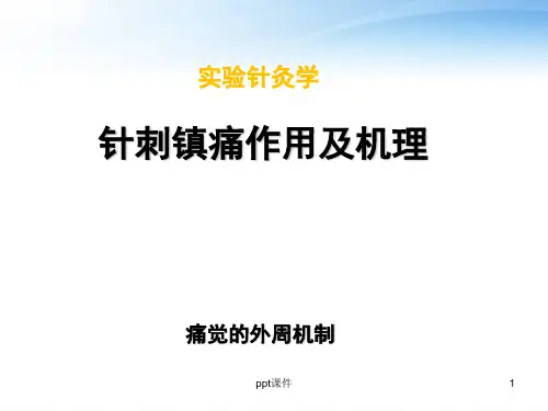 《实验针灸学》针刺镇痛作用及机理  ppt课件