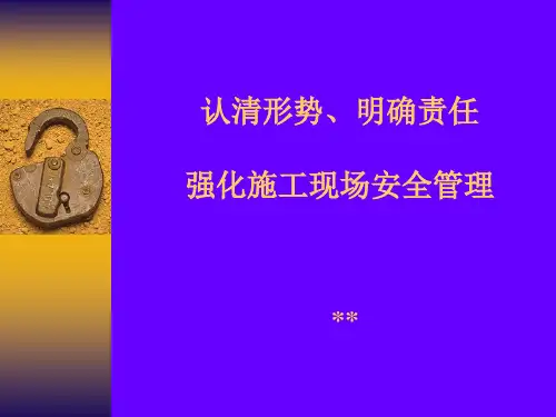 施工现场安全文明施工管理图解()