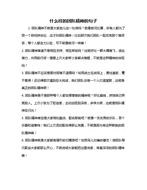 什么样的团队精神的句子