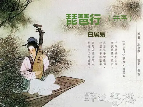 超详细讲解《琵琶行》-白居易