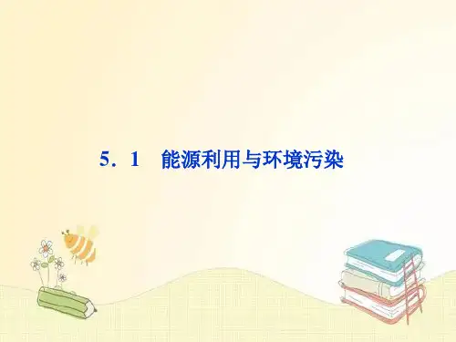 能源利用与环境污染PPT课件