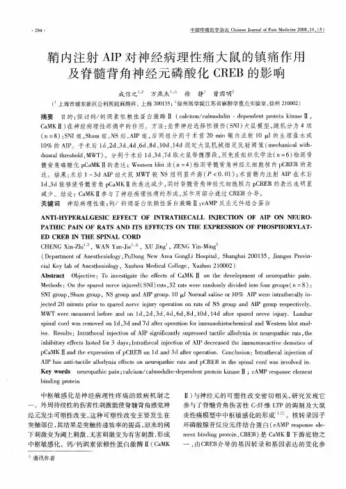 鞘内注射AIP对神经病理性痛大鼠的镇痛作用及脊髓背角神经元磷酸化CREB的影响