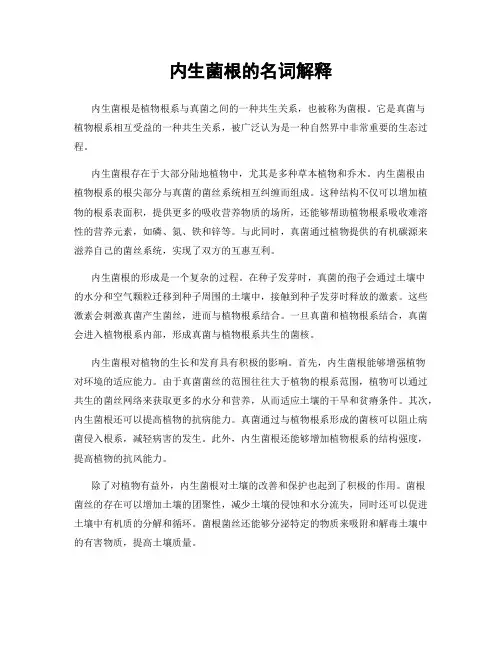 内生菌根的名词解释