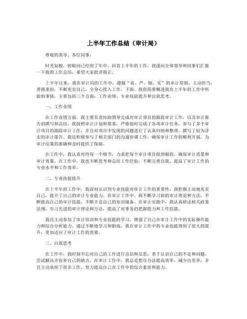 上半年工作总结(审计局)